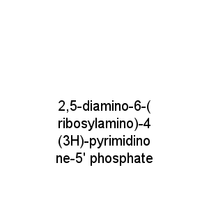 2,5-diamino-6-(ribosylamino)-4(3H)-pyrimidinone-5' phosphate